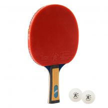 Giant Dragon 4★ N8042 Table Tennis Racket