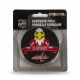 23. Inglasco NHL Mascot 510AN001901 Hockey Puck