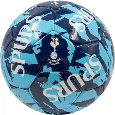 2. Football Tottenham Hotspur 70098224