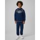 5. Boys' Loose-Fit Hooded Sweatshirt 4F 4FJRAW26TSWSM3193-31S