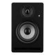4. Prodipe Pro5 V4 2-Way Black Wired 75W