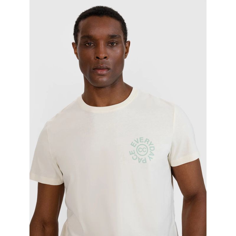 2. Men's regular printed T-shirt 4F 4FWSS25TTSHM1980-11S