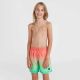 7. O'Neill Jack Cali Gradient 14'' Swim Shorts Jr 92800613570