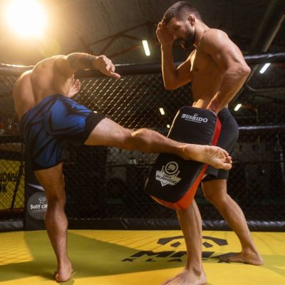 24. T55 | Thai training target with an elongated profile