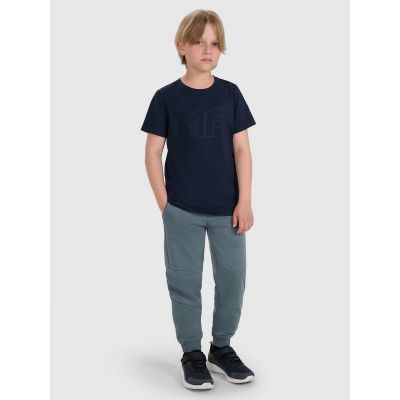 3. Boy's regular printed T-shirt 4F 4FJRMM00TTSHM3255-31S