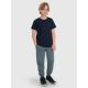 3. Boy's regular printed T-shirt 4F 4FJRMM00TTSHM3255-31S