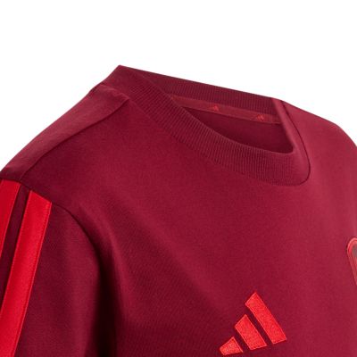 4. adidas Arsenal FC Burgundy Kids' T-Shirt KG5137