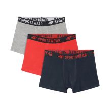 Boy's boxers 4F M061 3-pack multicolor 4FJWAW25UBXSM061 90S