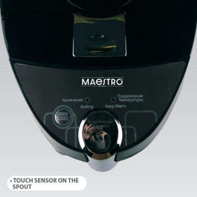 10. MAESTRO MR-081 water heater