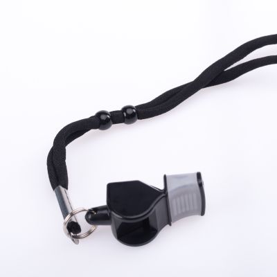 2. SWIST whistle
