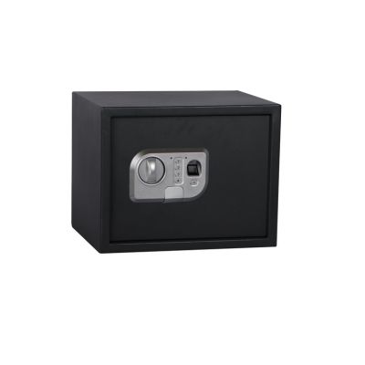 SAFE SP-25ELG 350X250X250