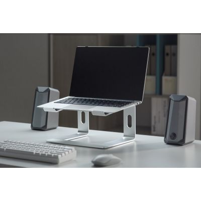 10. GEMBIRD Notebook Stand 15.6" Silver