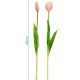 5. BOUQUET OF 5 LIGHT PINK TULIPS 39 CM LIKE LIFE SPRING DECORATION