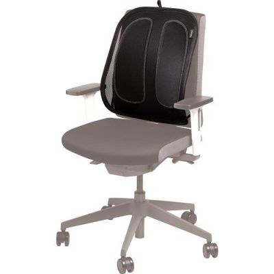 4. Fellowes 9191301 Back Chair Support Graphite