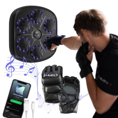 2. TB03 Bluetooth Electronic Boxing Target with Music and HMS Gloves