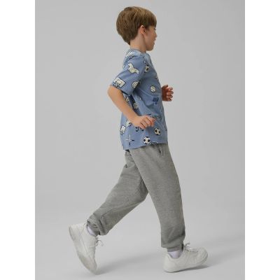 4. Boy's regular printed T-shirt 4F 4FJRSS26TTSHM3466-32A