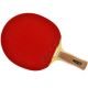 ATEMI 3000 CARBON anatomical table tennis bat
