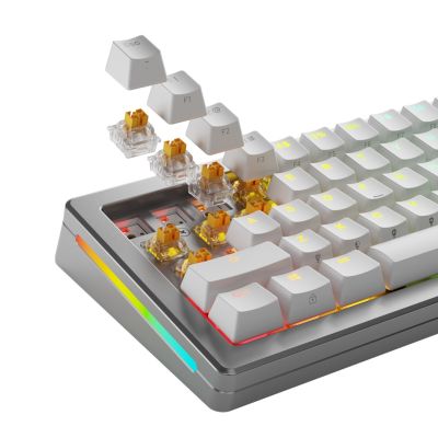 6. Glorious Gaming GLO-KB-ACC-SWT-PANDA-HE-36 no category