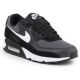 14. Nike Air Max 90 shoes CN8490-002