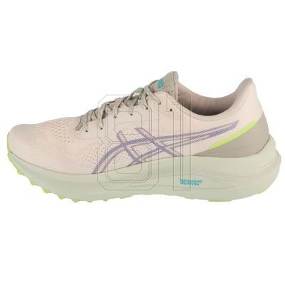 2. Asics GT-1000 13 TR M 1011C043-300 shoes