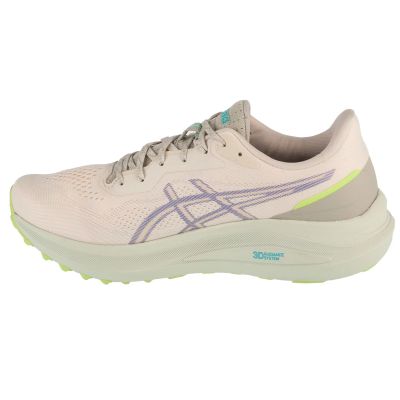 2. Asics GT-1000 13 TR M 1011C043-300 shoes