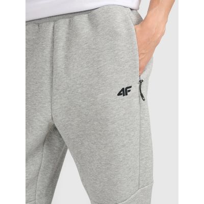 6. Men's jogger sweatpants 4F 4FRMM00TTROM1623-27M