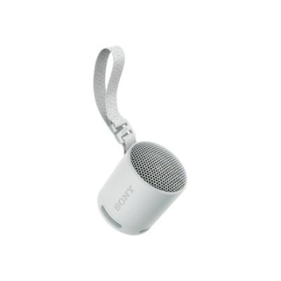 3. Sony SRS-XB100 Portable Mono Speaker Gray