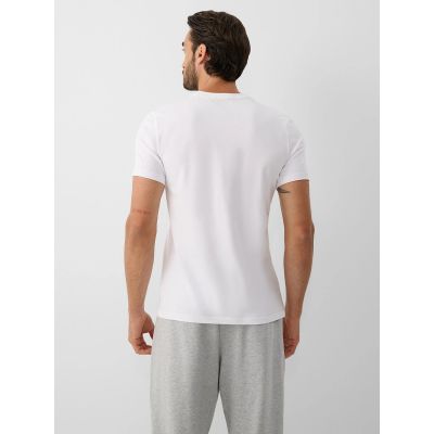 2. Men's slim T-shirt with print 4F 4FRAW26TTSHM4666-10S