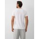 2. Men's slim T-shirt with print 4F 4FRAW26TTSHM4666-10S