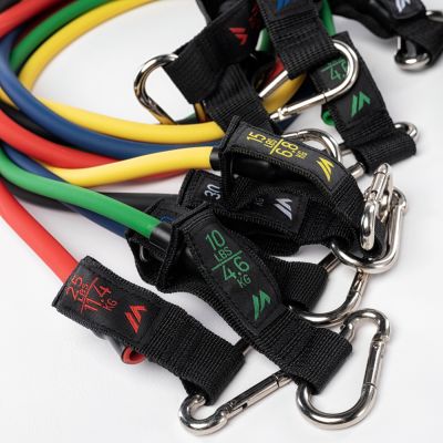 3. RESISTANT Expander Set