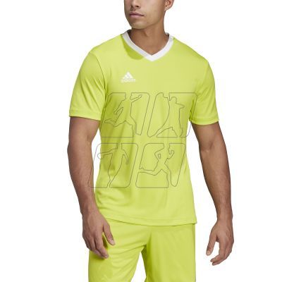 5. Tee adidas Entrada 22 M HC5077