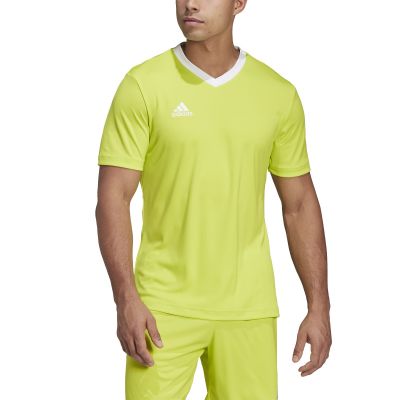 5. Adidas Entrada 22 M T-shirt HC5077