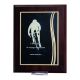 8. Plastic diploma with an engraved metal plate