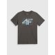7. Men's regular printed T-shirt 4F 4FRSS26TTSHM4295-22S