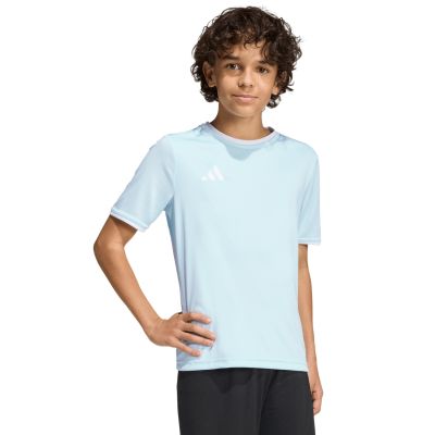 12. adidas Entrada 26 Jersey kids' t-shirt blue KE9844