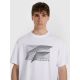 4. Men's regular printed T-shirt 4F 4FRAW25TTSHM3259-10S
