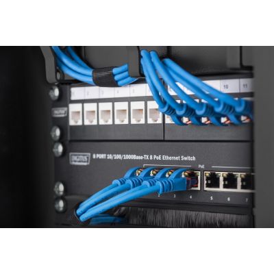 6. Digitus Wall-mounted enclosure 254 mm (10") - 312x300 mm (W x D)
