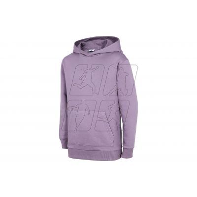 Sweatshirt 4F Jr. HJZ22-JBLD003 violet