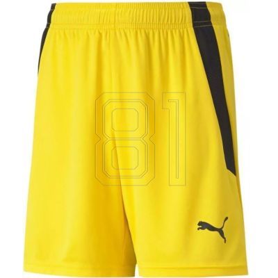 Puma teamLIGA Shorts Jr 704931 07