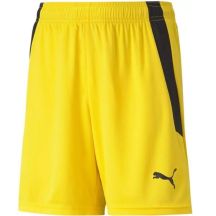 Puma teamLIGA Shorts Jr 704931 07