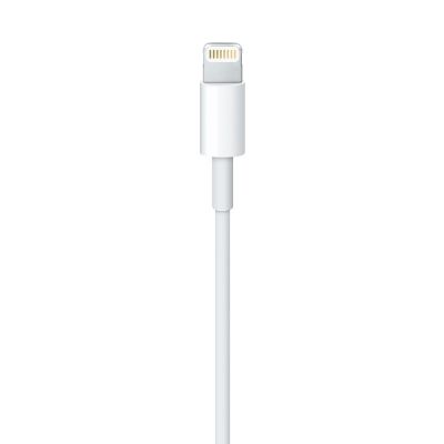 3. Apple Lightning to USB Cable (1m)