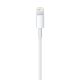 3. Apple Lightning to USB Cable (1m)