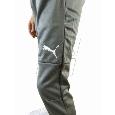 8. Puma Training M 65738 013 pants