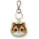 Nimmy Big Eyed Pet 2.0 Cat Tracker Case - Green