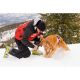 2. EVEREST TELESCOPIC CAR SNOW SHOVEL 68.5-71.5-82CM