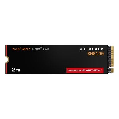 10. SSD WD Black SN8100 w/o HS 2TB WDS200T1X0M