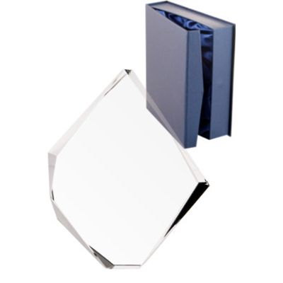 4. Glass trophy with case