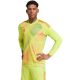 6. adidas Tiro 24 Competition Long lime green men's goalkeeper jersey IU0291