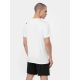 5. T-shirt 4F M 4FWSS24TFTSM598-10S
