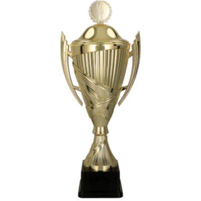 4. ORSONA gold plastic cup with lid